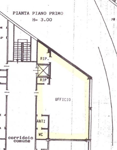 Planimetria Primo Piano