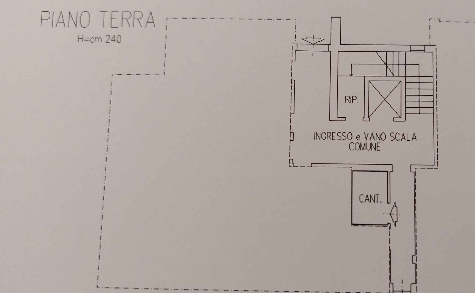 Planimetria Piano Terra